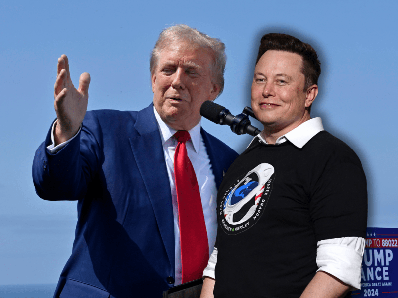 Trump-Fan Elon Musk fällt mit ekligem Tweet auf X auf.