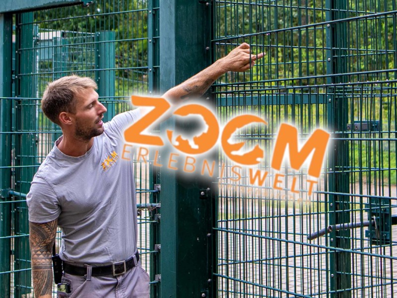 Zoom Gelsenkirchen