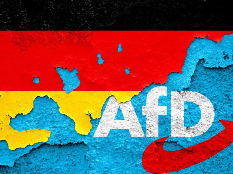 Im Gegnsatz zu anderen Bundesländern ist die AfD in NRW 