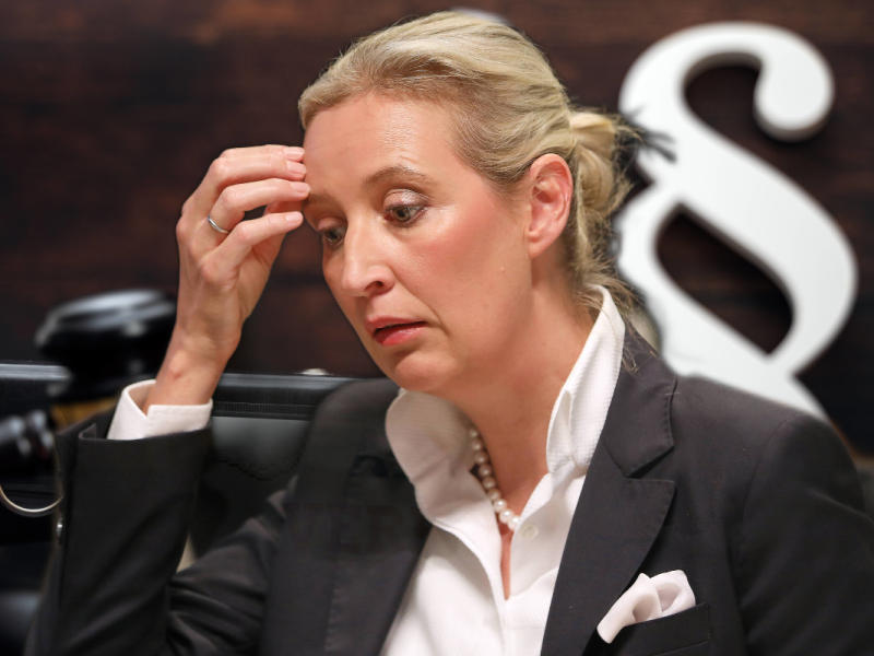 Der AfD-Verbotsantrag liegt dem Bundestag vor.