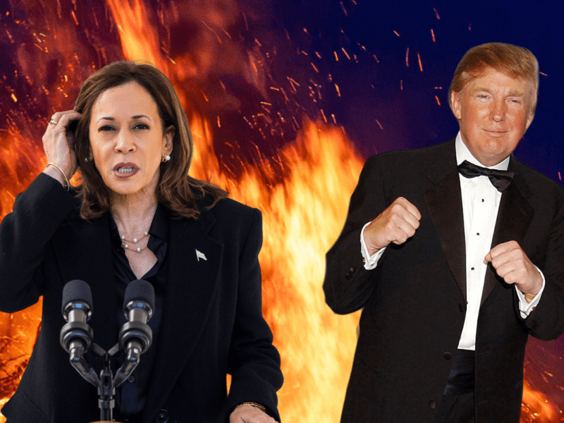 Wer wird das nächste Staatsoberhaupt USA? Die Deutschen haben einen klaren Favoriten bei der US-Wahl 2024.