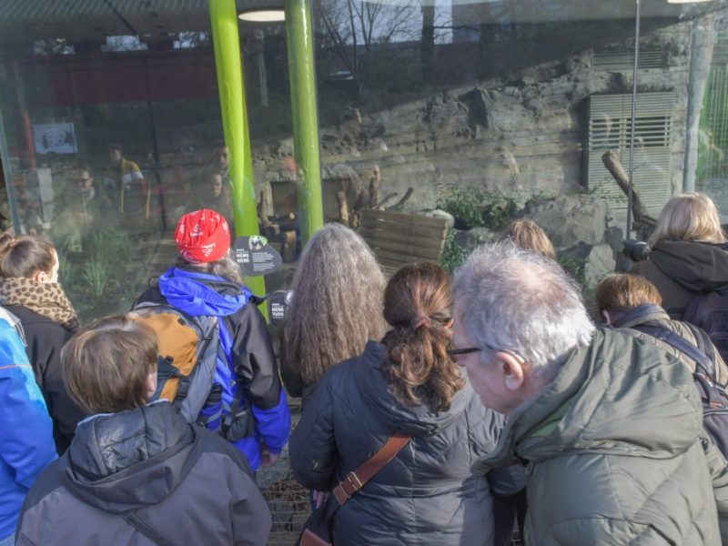 Zoo Gelsenkirchen: Eindringling