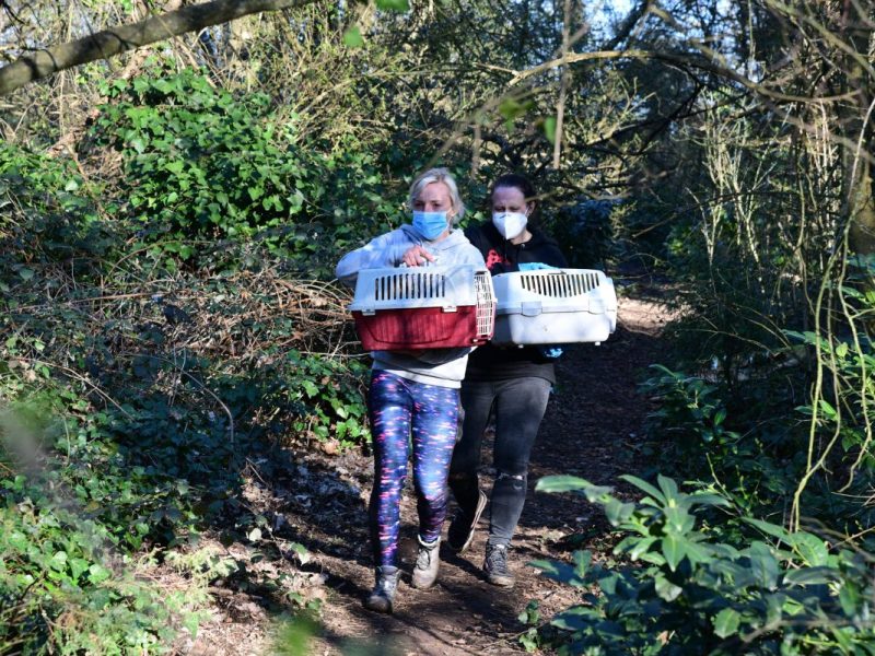 Dortmund: Messie- Wohnung (Symbolbild)