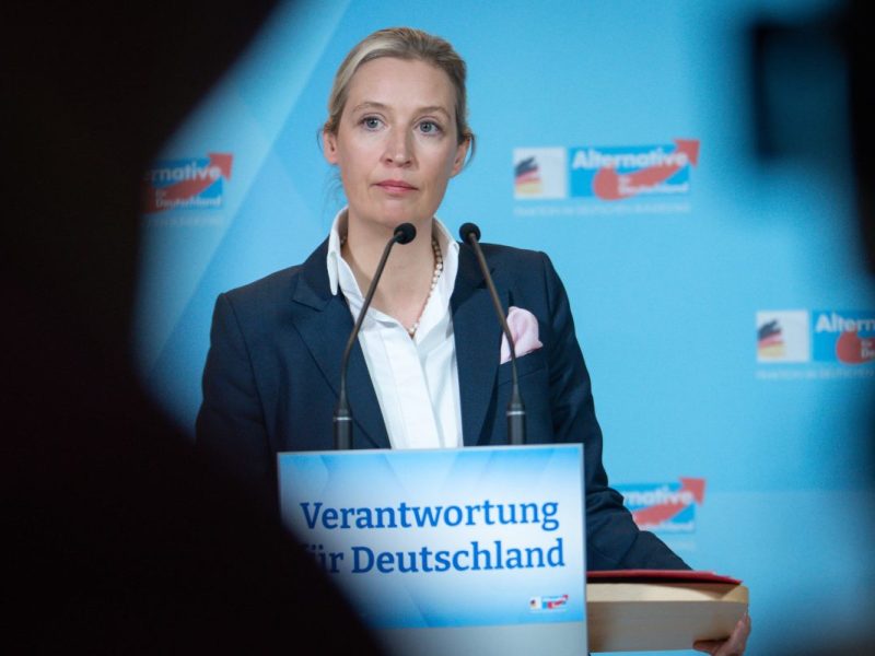 AfD-Verbot: Kommt das Aus für die Partei