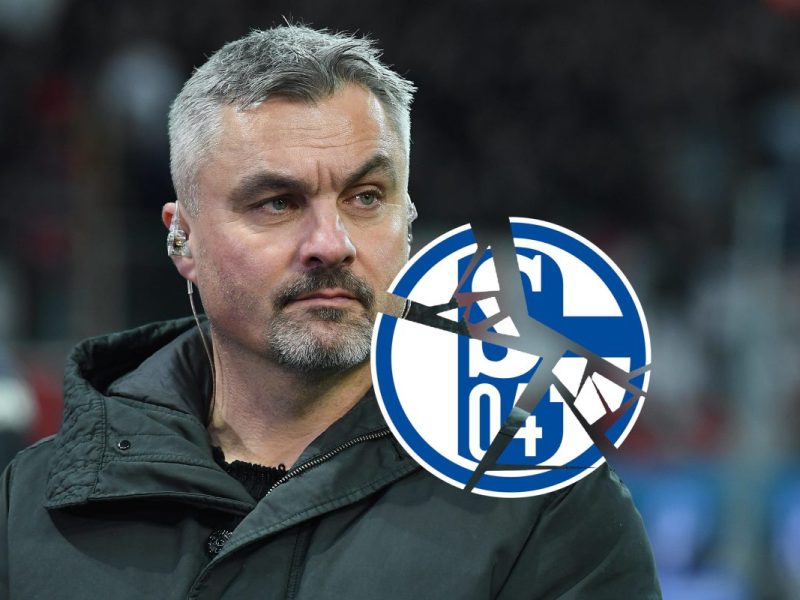 Thomas Reis tritt gegen die Vereinsverantwortlichen des S04 nach. Seine Worte über seinen Ex-Klub sich unmissverständlich.