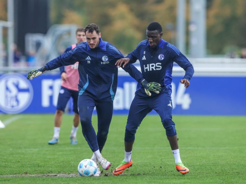 Die Lage des FC Schalke 04 spitzt sich immer weiter zu. Vor allem ein Profi jetzt zum Liefern gezwungen. Ansonsten droht der Super-Gau.