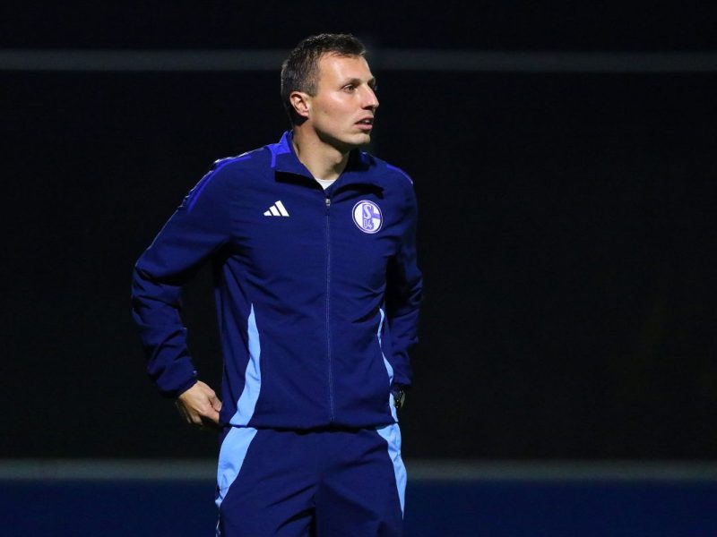 FC Schalke 04 Fimpel