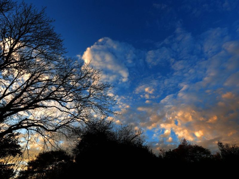 Der Herbst ist da, der Winter naht. Doch wirklich winterlich fühlt es sich noch nicht wirklich an. Ändert sich das Wetter in NRW schon bald?