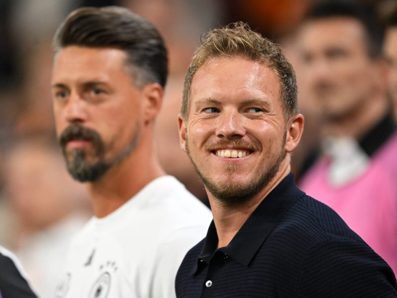 Deutschland - Niederlande: Julian Nagelsmann