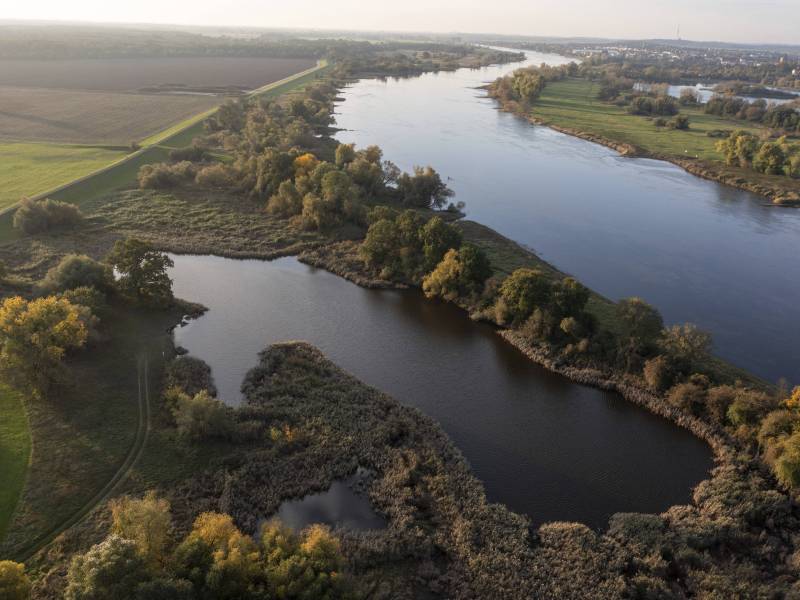 Naturbelassene Flusslandschaft Magdeburg