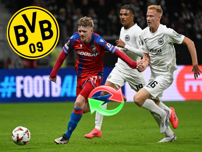 Borussia Dortmund: Pavel Sulc