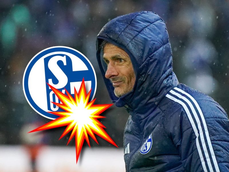 Was plant Kees van Wonderen beim FC Schalke 04?