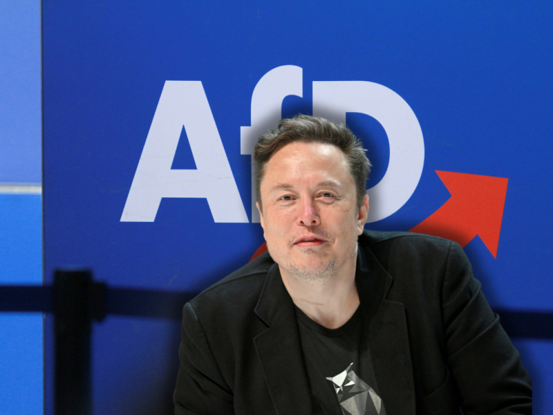 Elo Musk schaltet sich bei einem AfD-Thema ein.