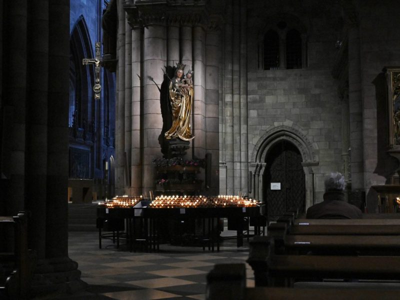 Münster: Wünschewagen