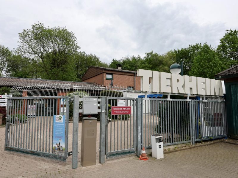 Das Tierheim Bochum