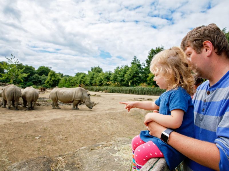 Zoo NRW (Symbolbild)
