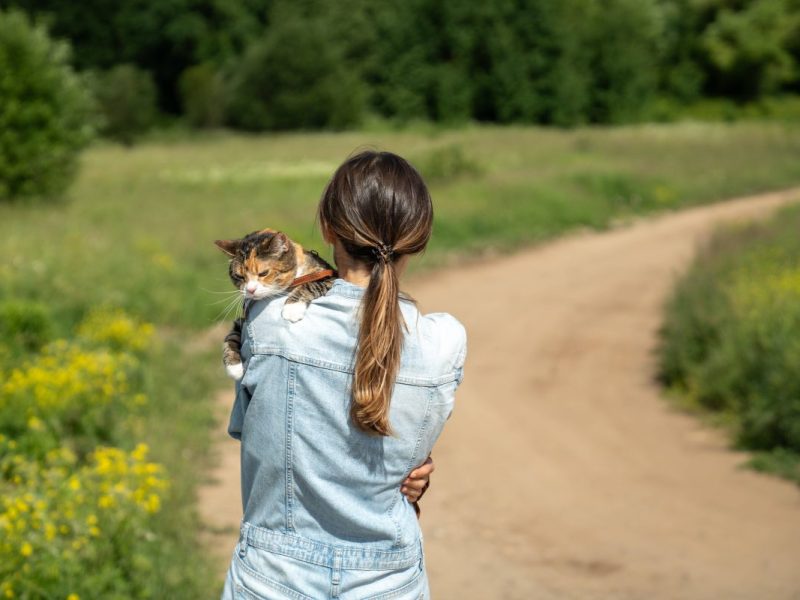 Tierheim NRW (Symbolbild)