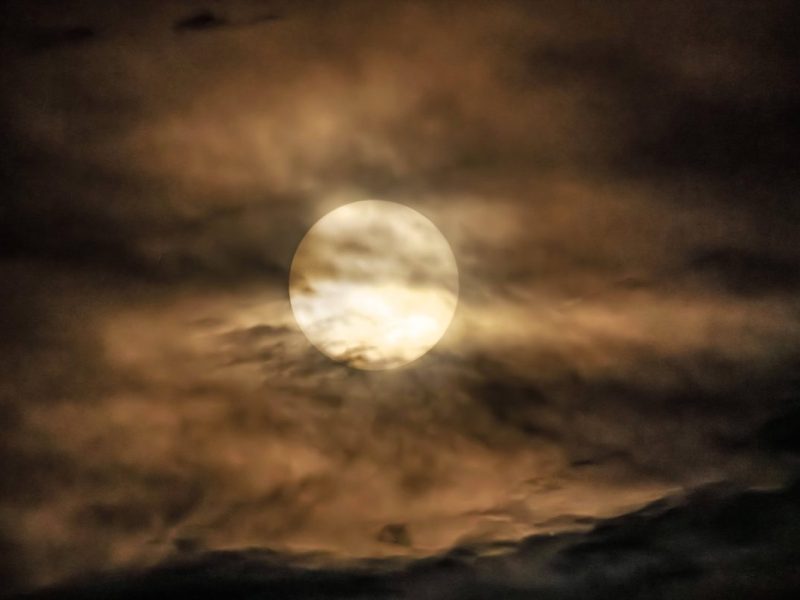 Horoskop: November - Stier, Zwilling, Wassermann