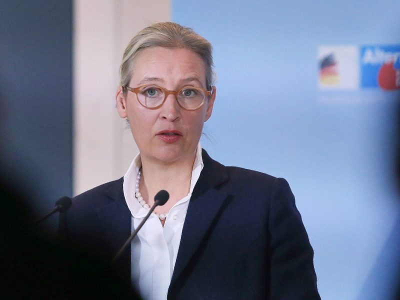 Bundestagswahl: AfD mit Weidel an der Spitze