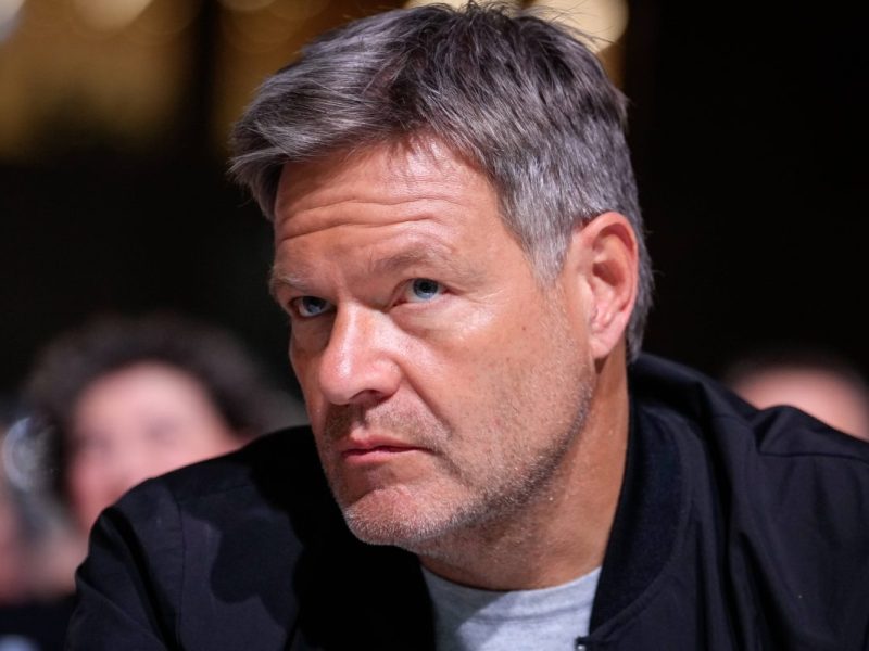 Habeck als Kanzler - geht das mit der Grünen Jugend? Beim Grünen-Partietag packt die Doppelspitze aus.