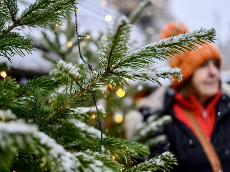 Weihnachtsmarkt Gelsenkirchen Tannenbaum