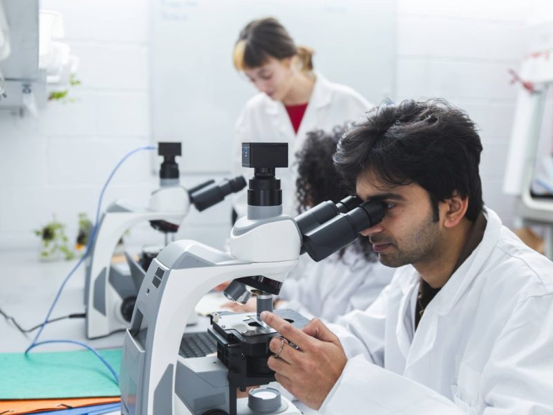 Bochum Kaninchenpest