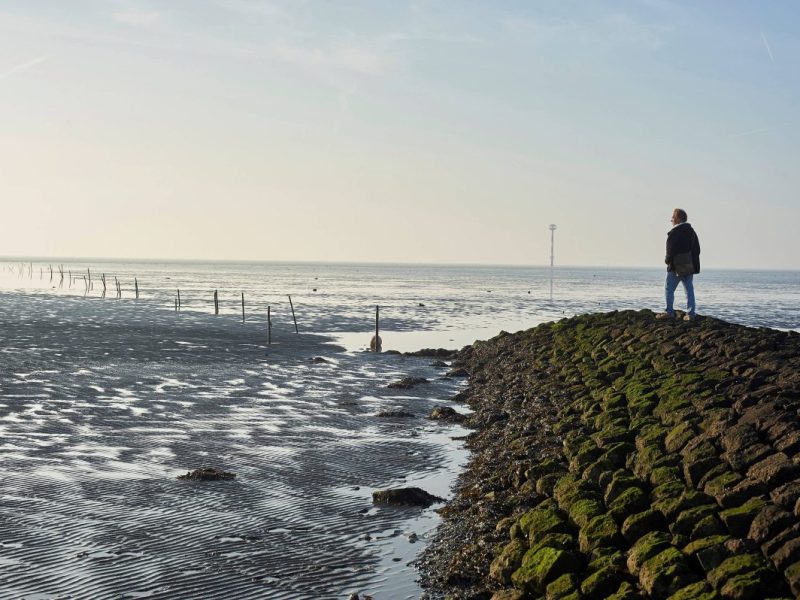 Ostsee: Wünschewagen (Symbolbild)