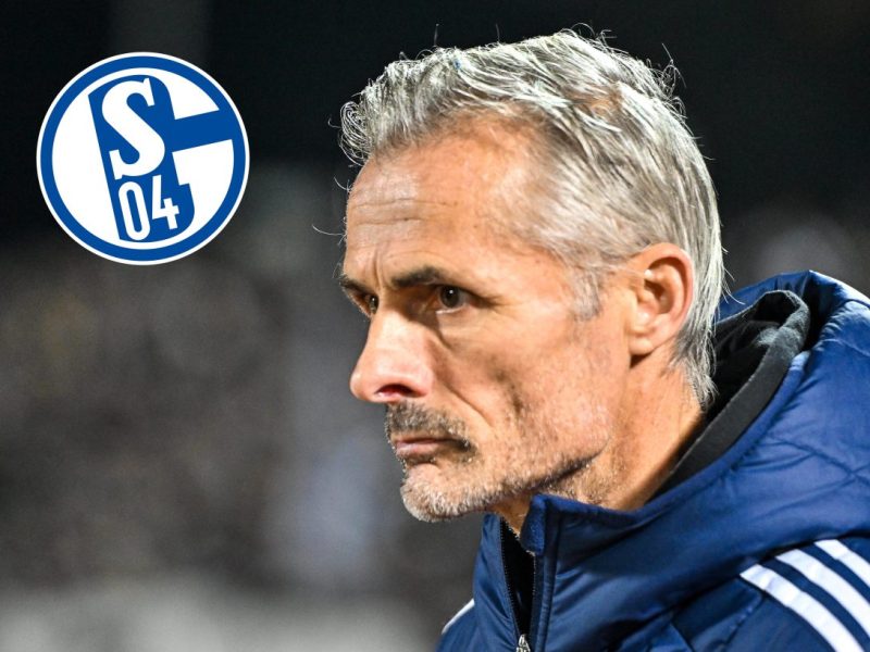 FC Schalke 04: Max Grüger