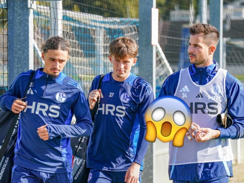 FC Schalke 04: Knappenschmiede