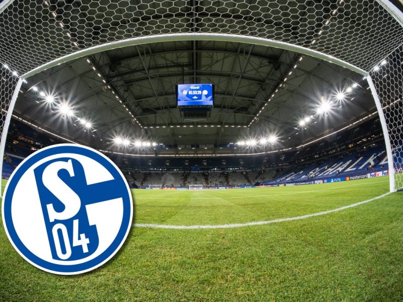 Der FC Schalke 04 hofft auf seinen neuen Rasen.
