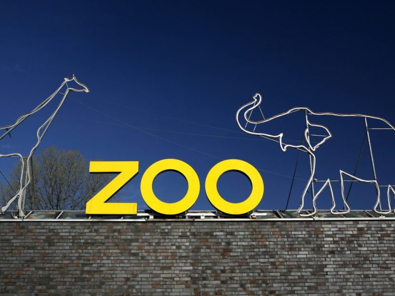 Zoo NRW: ARD