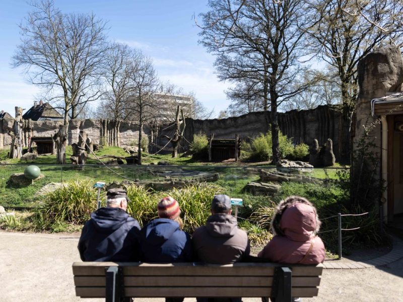 Zoo NRW: Tier-Tod Krefeld