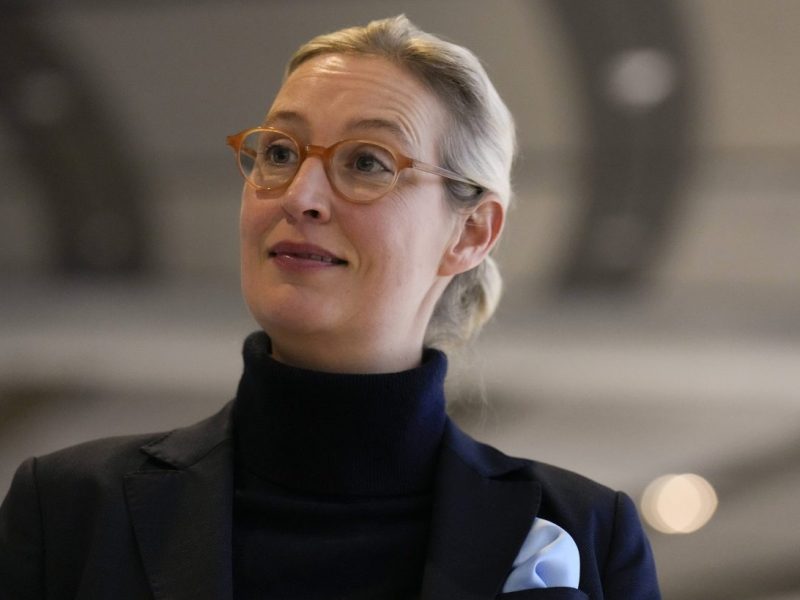 Steuergeschenke für Top-Verdiener: Weidel und die AfD