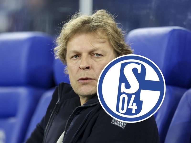 Schalke 04 hat Youri Mulder als Technischen Direktor bis Saisonende präsentiert. Eine richtige Entscheidung der Klubbosse! Ein Kommentar.