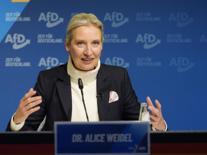 Laut der jüngsten Sonntagsfrage wünscht sich knapp ein Fünftel Weidel im Kanzleramt.