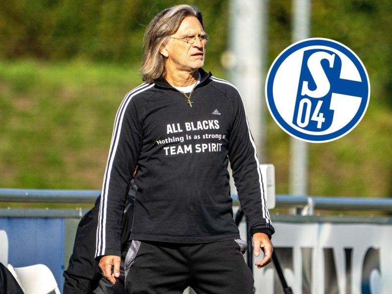 FC Schalke 04: Norbert Elgert