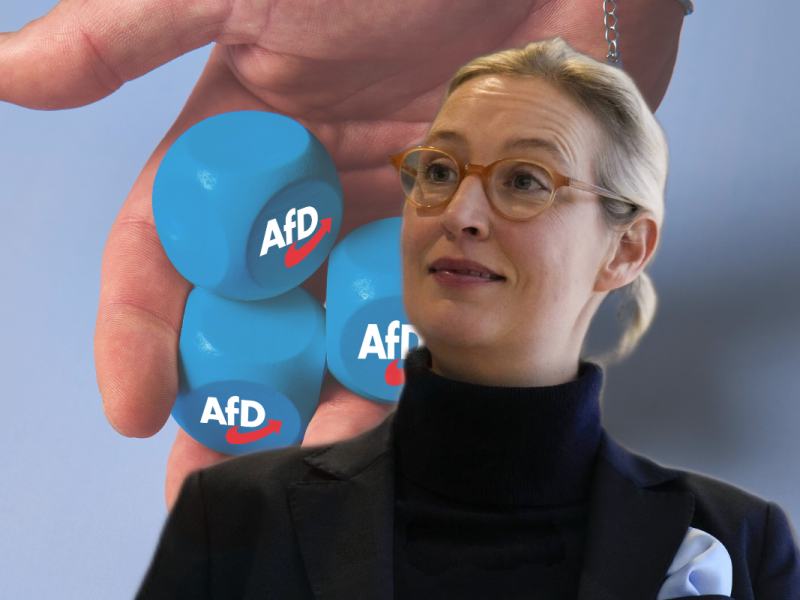 Die AfD befindet sich laut INSA auf dem Weg nach vorne.
