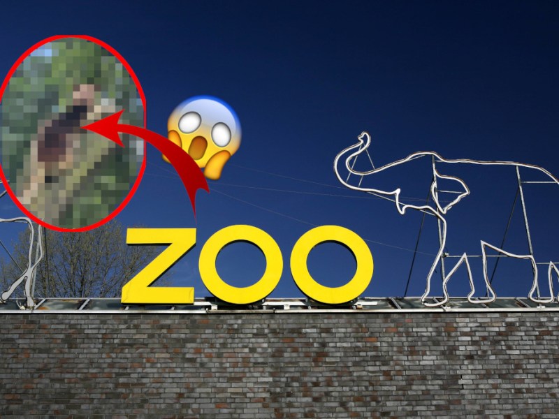 Zoo Duisburg - Tier tot