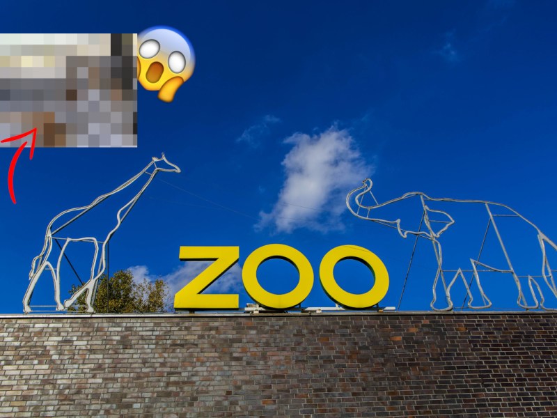 Zoo NRW