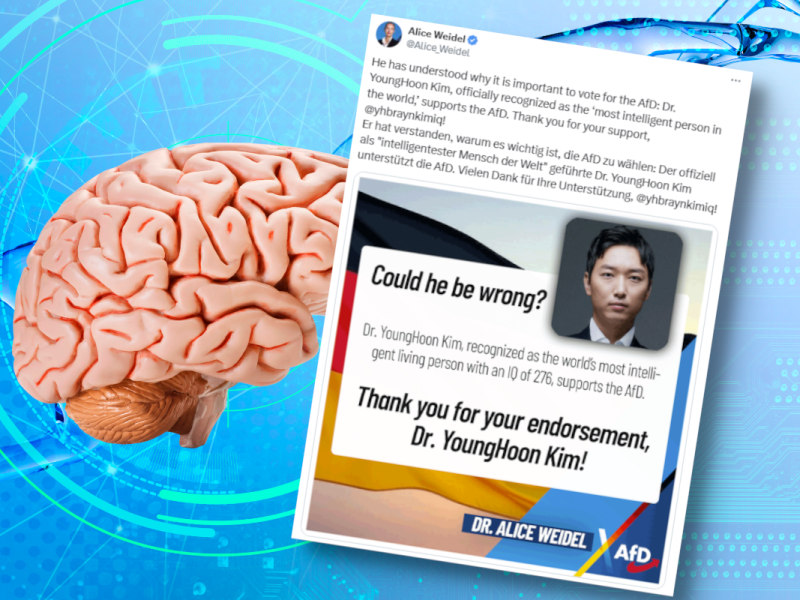 IQ-Rekordhalter für AfD?