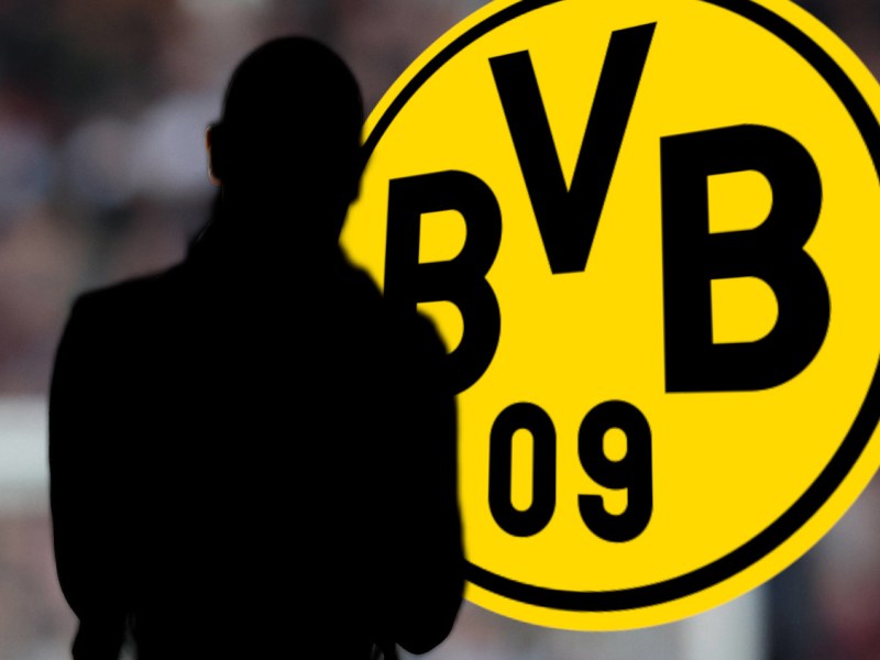 BVB ten hag