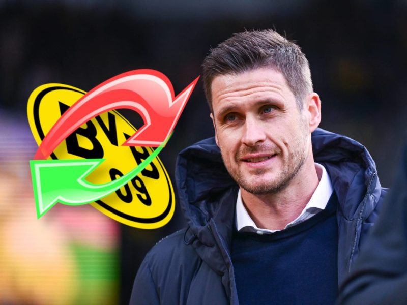 Borussia Dortmund ist auf der Suche nach Neuzugängen.