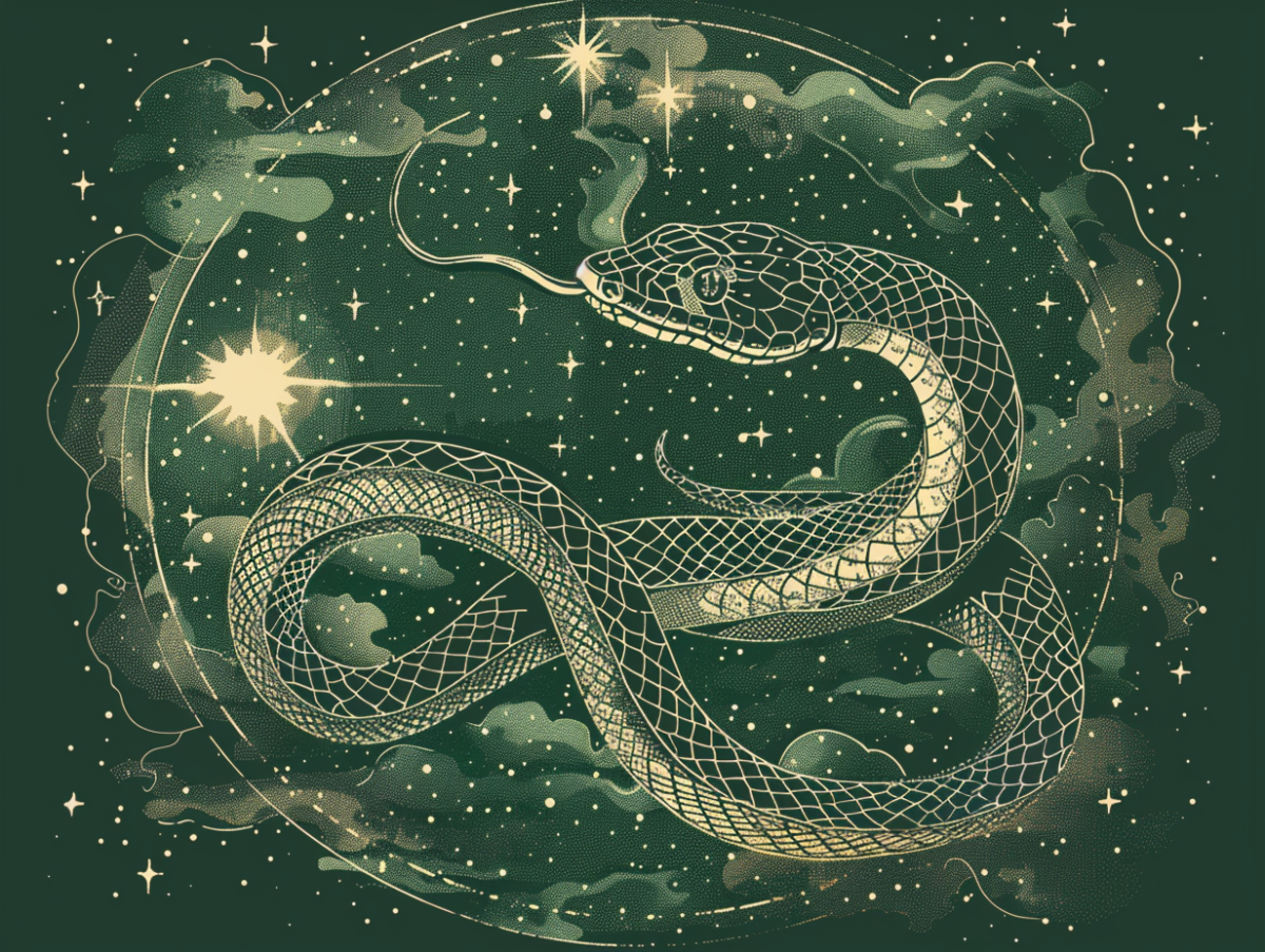 Gezeichnete Schlange vor grünem Hintergrund mit Sternen und Wolken.