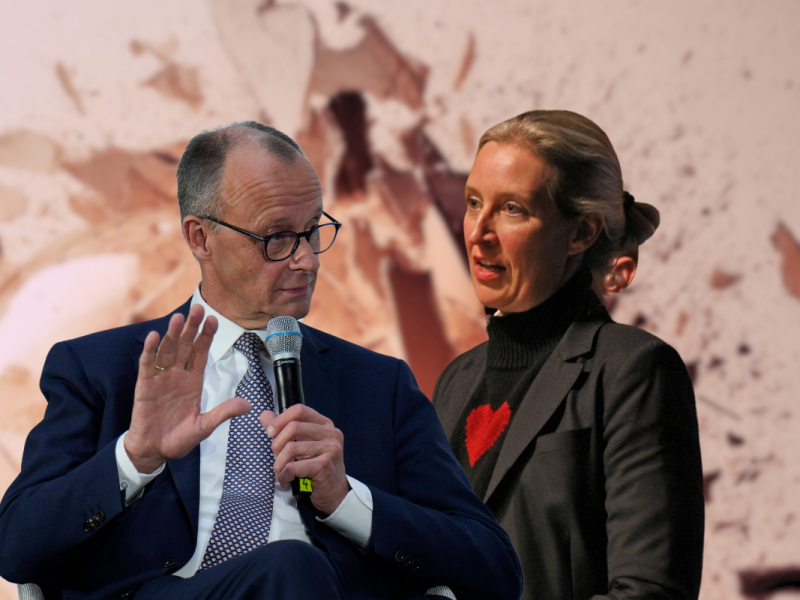 Während Olaf Scholz ihm zu langweilig ist, sucht Friedrich Merz lieber den Kampf mit AfD-Chefin Alice Weidel. Ein riskanter Plan oder kluge Strategie?