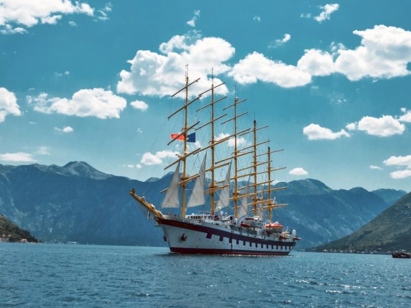 Kreuzfahrt: Passagiere entdecken SIE auf offener See.