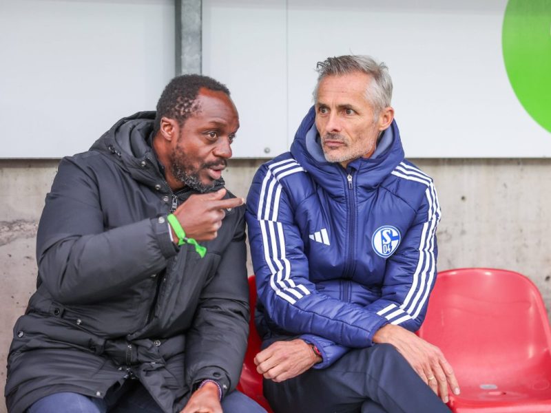 Transfer-Wünsche von Schalke 04-Trainer Kees van Wonderen enthüllt! Kann Kaderplaner Ben Manga diese erfüllen?