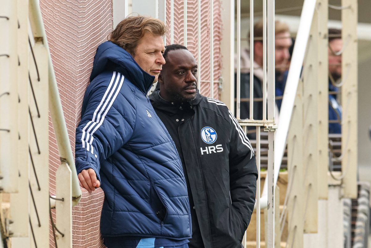 Wer kommt noch, wer geht noch? Wie sieht die Kaderplanung des FC Schalke 04 für die kommenden Monate aus? Ben Manga hat offenbar eine klare Vision.