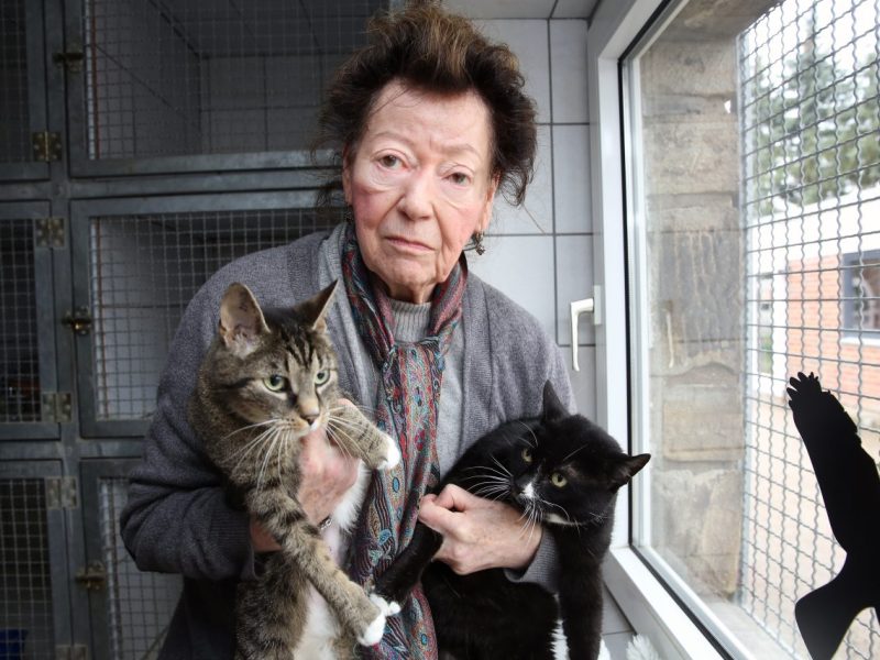 Tierschutz Dortmund: Hilfe (Symbolbild)