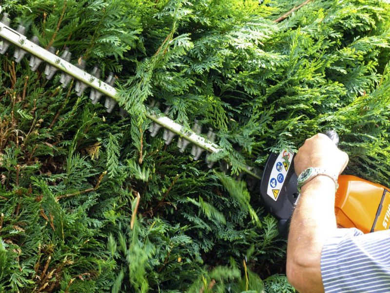 Bußgeld: Gartenarbeit