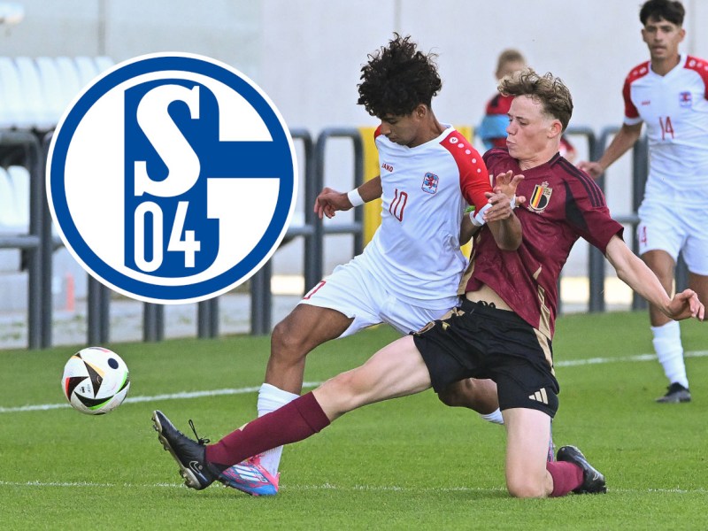 Schalke Dardari